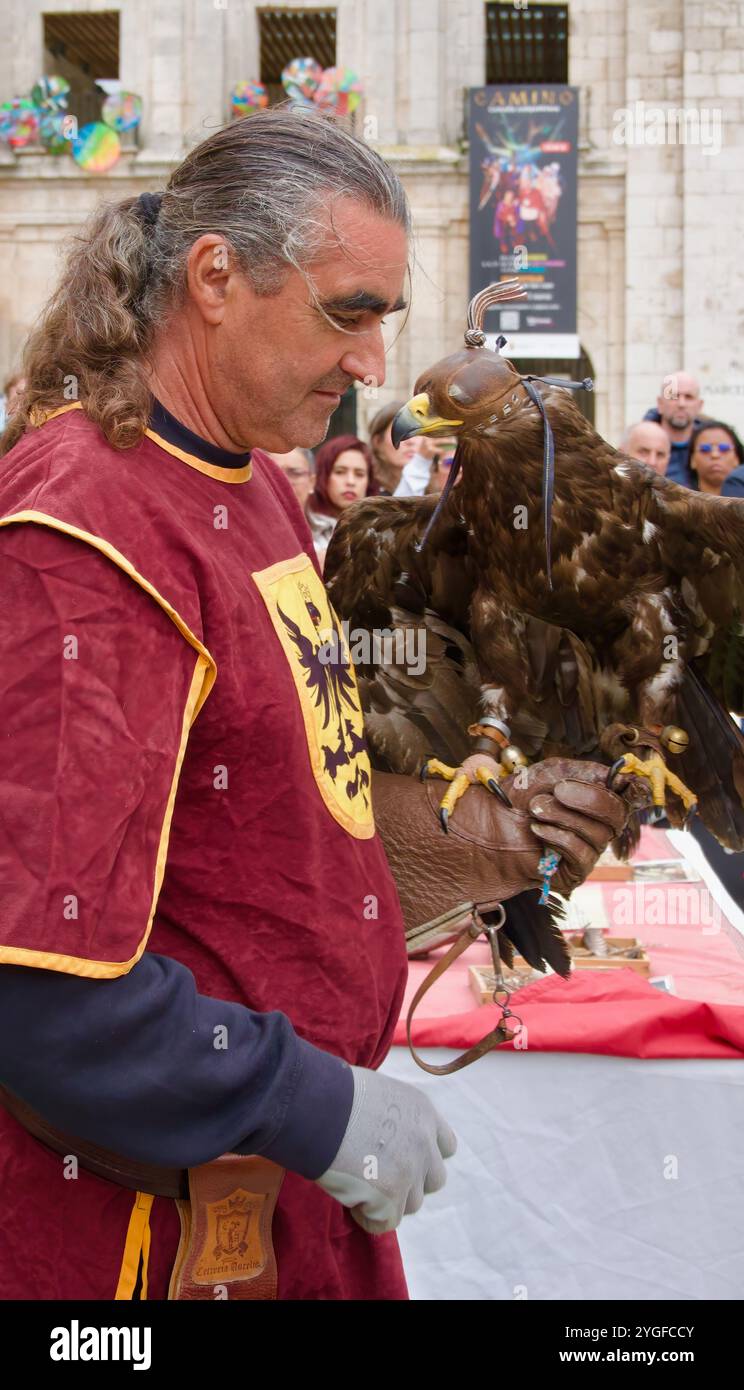 Ein Vogelführer in mittelalterlicher Tracht mit einem goldenen Adler Aquila chrysaetos während einer Ausstellung von Raubvögeln bei den El Cid Fiestas Burgos Spain Stockfoto