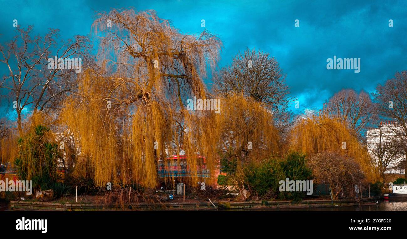 Natur Stockfoto