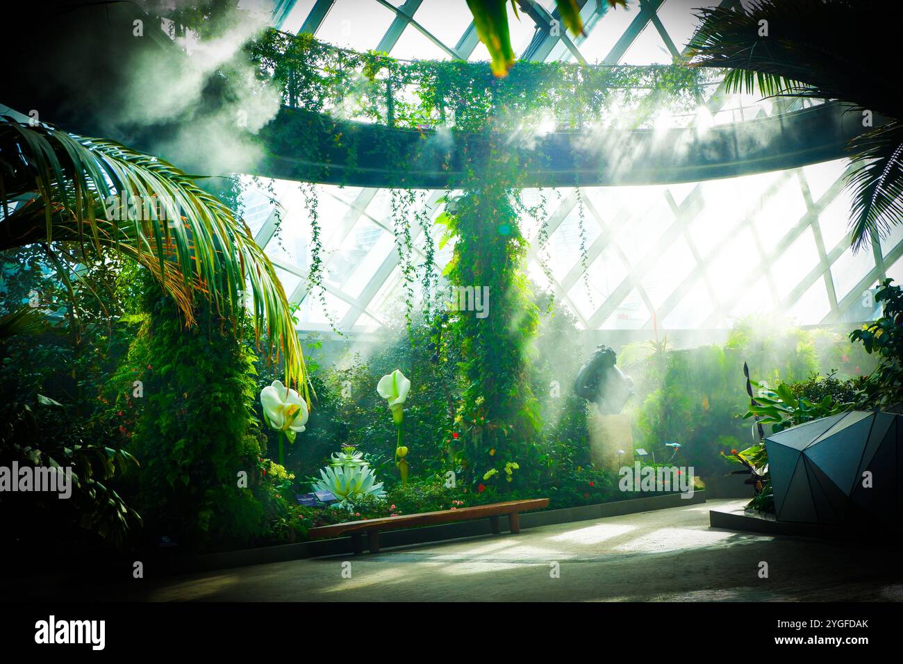 Natur Stockfoto
