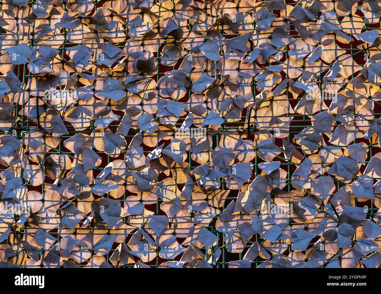 Sunlit Fence: Abstrakte architektonische Tapete bei Sonnenuntergang Stockfoto