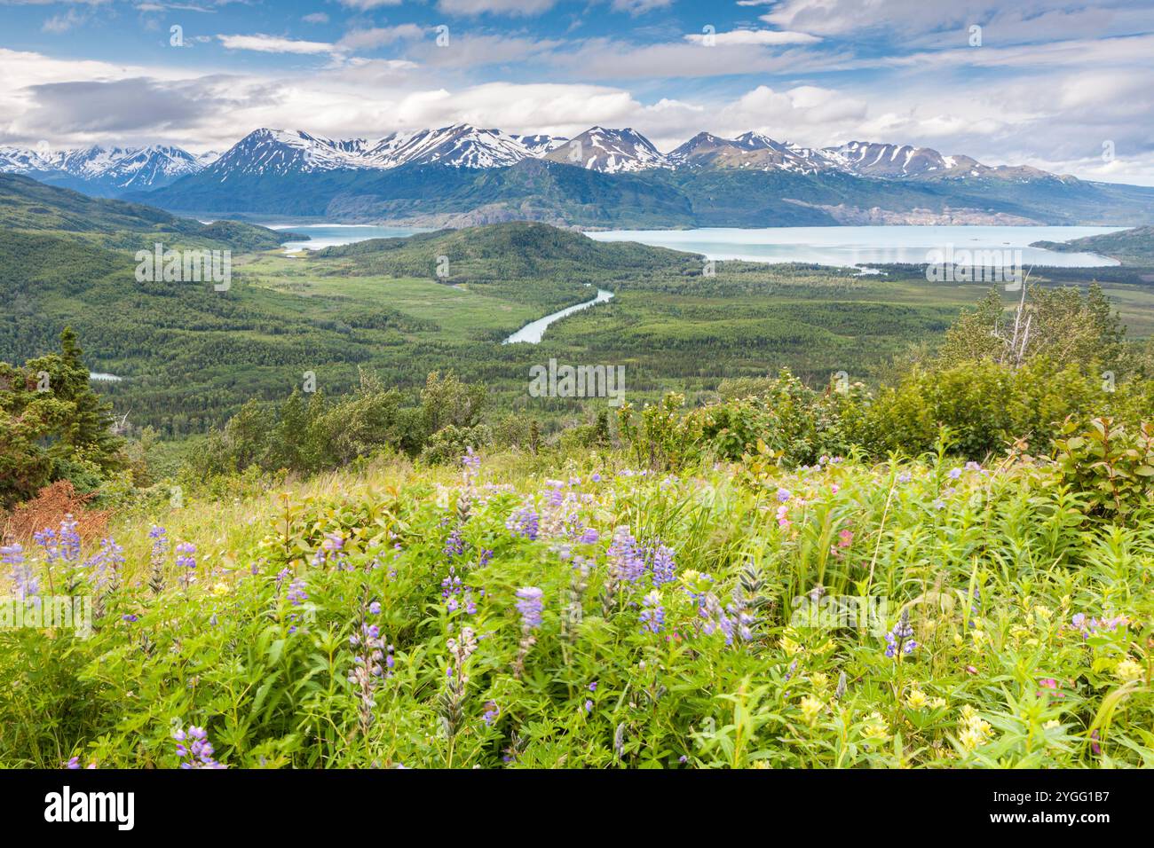 Skilak Lake, Skilak Wildlife Recreation Area, Kenai Peninsula, Alaska, USA Stockfoto