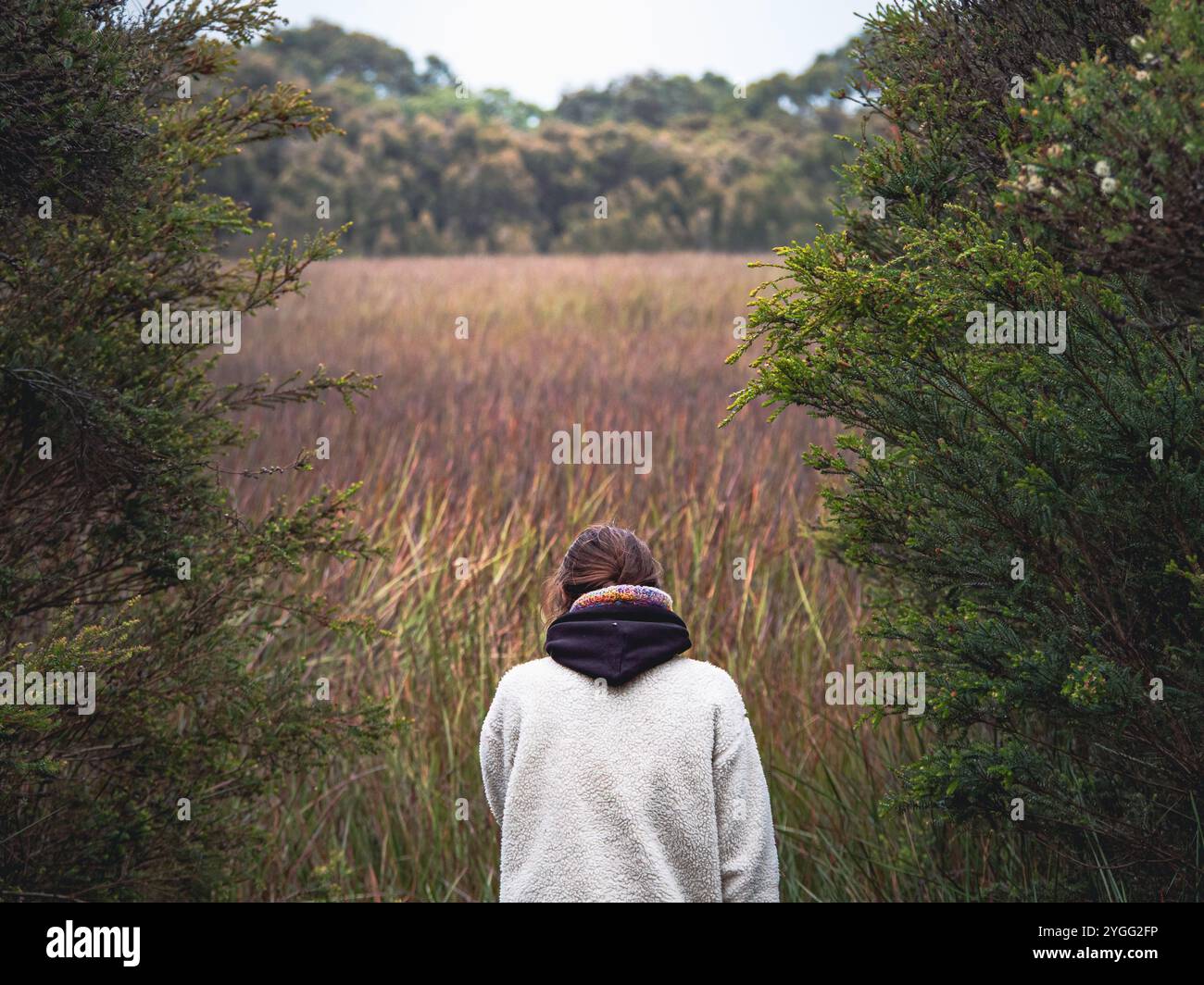 Ein Mädchen steht mit dem Rücken zur Kamera und blickt über ein hohes Grasfeld auf French Island, Australien, und genießt die Ruhe der Natur. Stockfoto