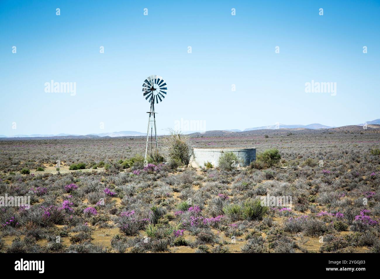 Afrika, Wüste, Karoo, Landschaft, Natur, keine Tiere, keine Menschen, draußen, landschaftlich, Himmel, Südafrika, Tourismus, Westkap Provinz, Windmill Stockfoto