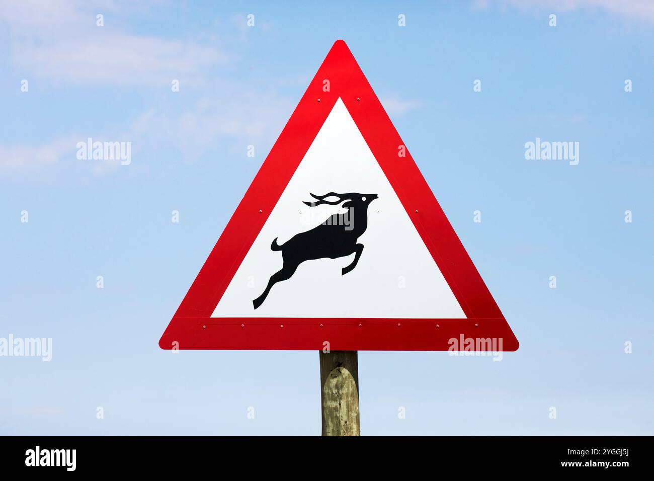 Afrika, Tiere in der Wildnis, Bush, große Karoo, Südafrika, Westkap-Provinz, Tierwelt, Schild, Wegweiser, Straßenschild Stockfoto