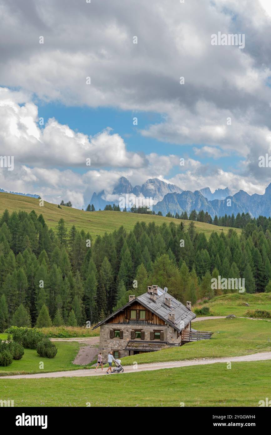 Eine junge Familie mit Kinderwagen spaziert auf der Weide des Passo San Pellegrino mit dem berühmten Pale di San Martino im Hintergrund. Europa, Italien, T Stockfoto