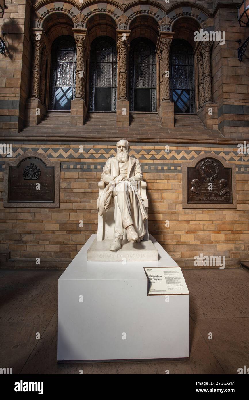 Großbritannien, England, London City, Natural History Museum, Charles Darwin Statue Stockfoto