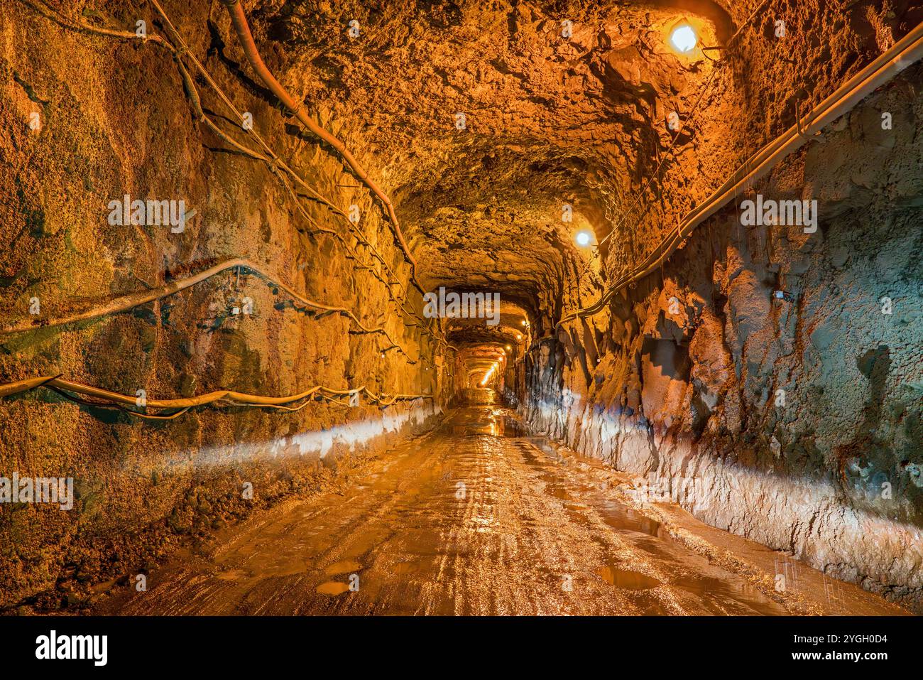 Sie fahren durch den alten Straßentunnel Engenheiro Duarte Pacheco. Einer der ältesten Tunnel an Madeiras Nordküste. Stockfoto