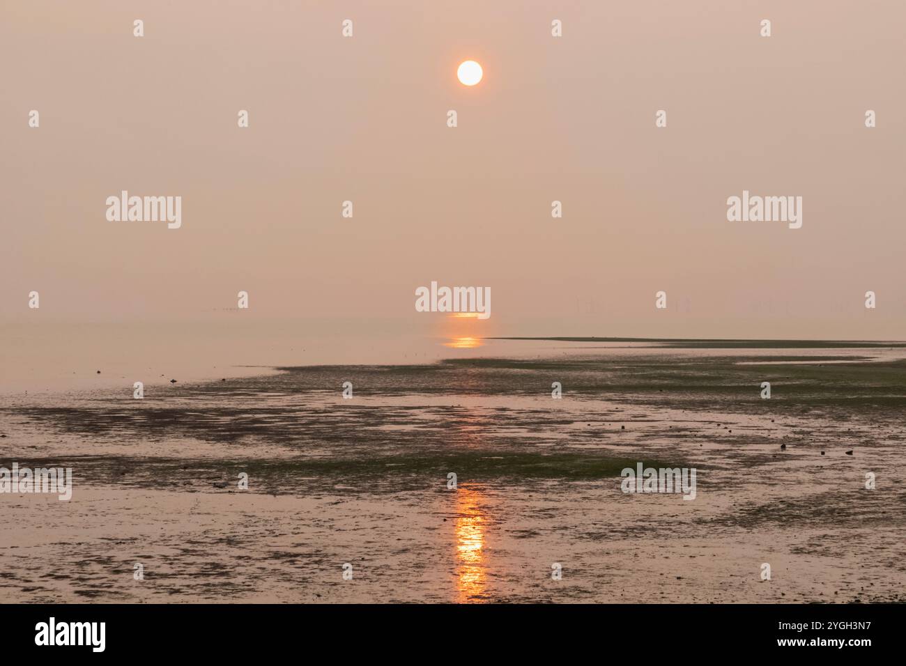 England, Kent, Isle of Sheppey, Sheerness, Minster, Metalldetektoren bei Sonnenaufgang auf der Themse Stockfoto