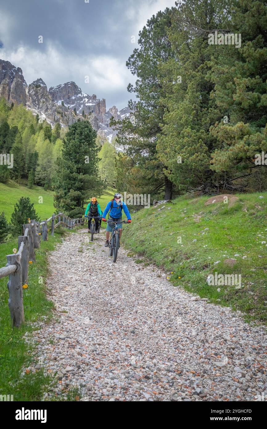 Italien, Trentino, Provinz Trient, Val di Fassa, zwei Radfahrer mit E-Bikes auf einer Silvopastoral Straße im Wald am Fuße des Rosengartens Stockfoto