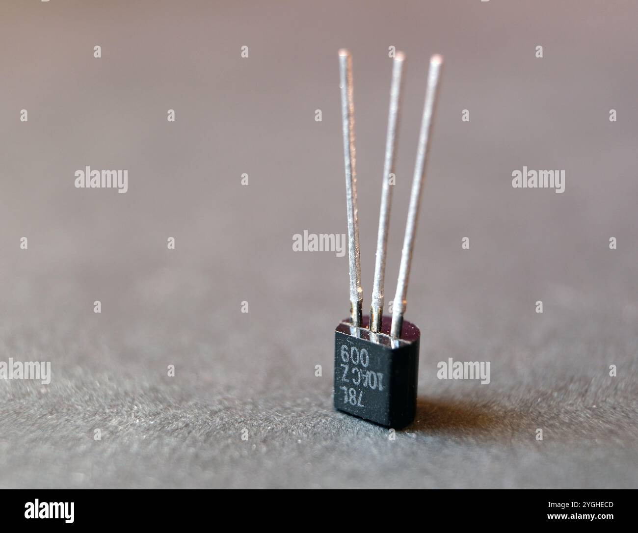 Nahaufnahme eines Transistors. Isolierte einzelne Halbleiterbauteile. Stockfoto