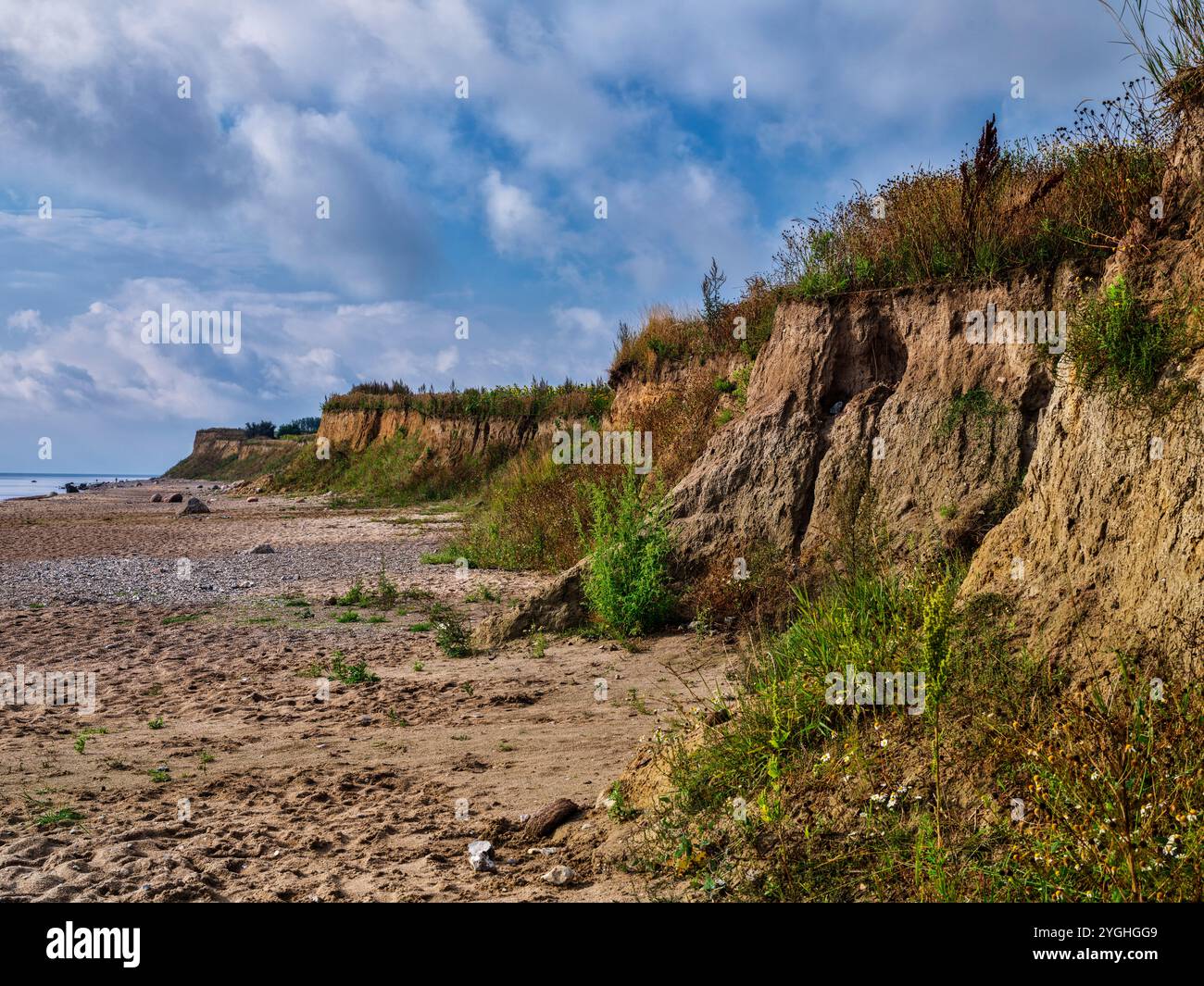 An den Klippen südlich von Schönhagen, Brodersby Stockfoto