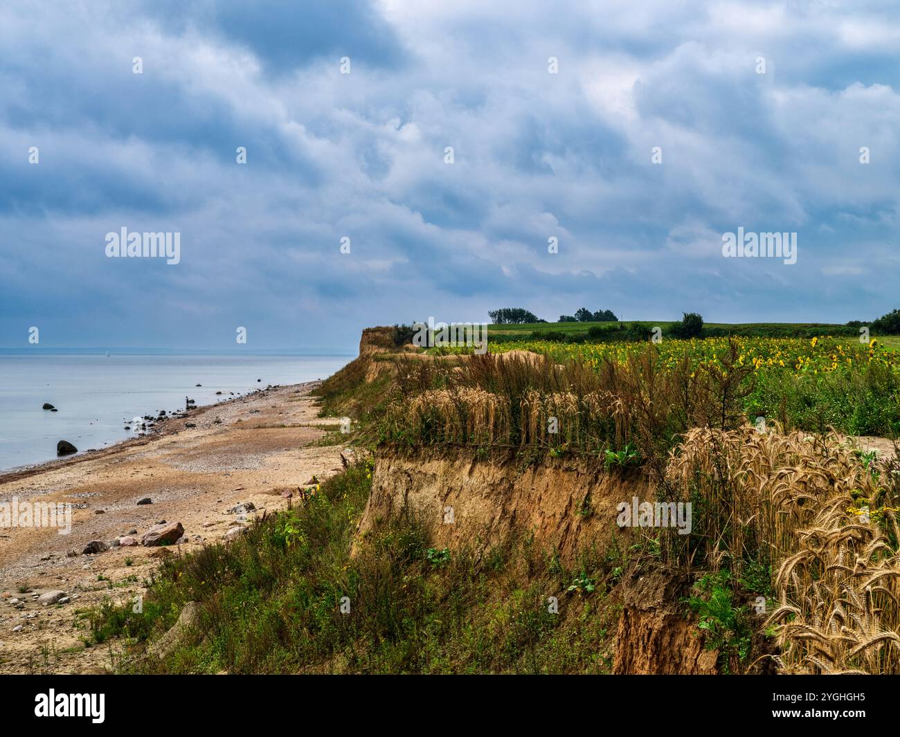 An den Klippen südlich von Schönhagen, Brodersby Stockfoto