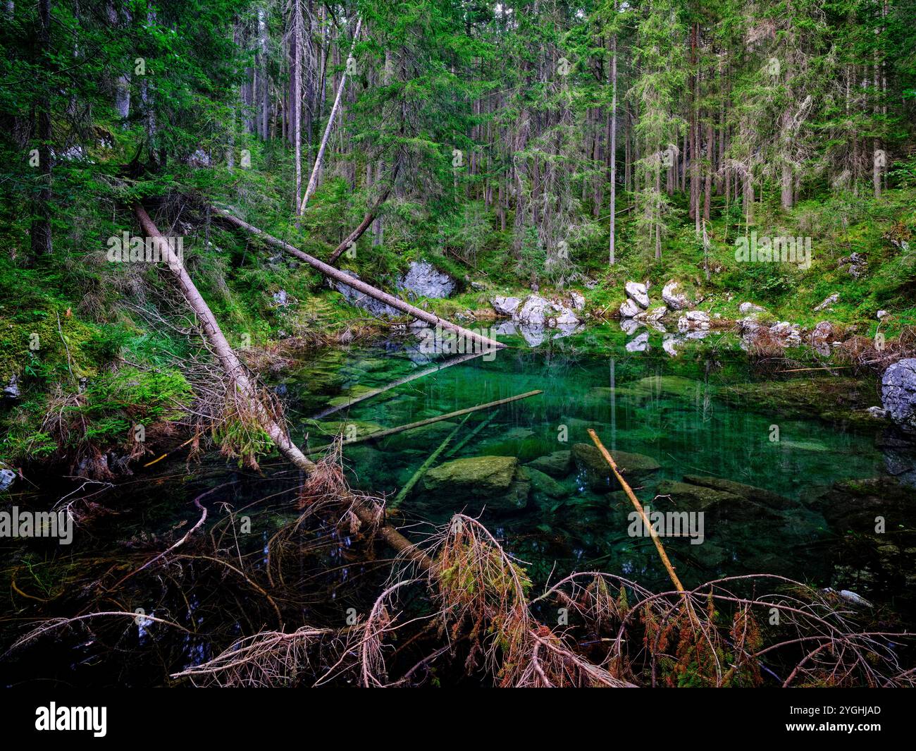 Rechts vom Wanderweg rund um den Eibsee am Drachensee Stockfoto