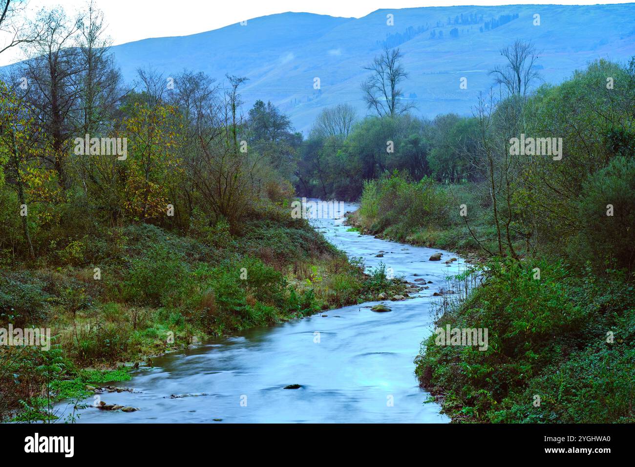 Ein ruhiger Blick auf den Fluss Saja, der sanft durch das üppige Cabuerniga-Tal in Kantabrien fließt. Stockfoto