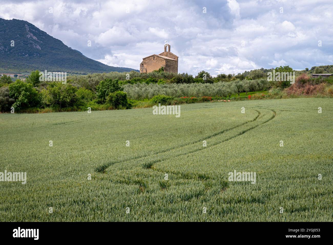 Grünes Gerstenfeld mit einer alten spanischen Kirche im Hintergrund Stockfoto