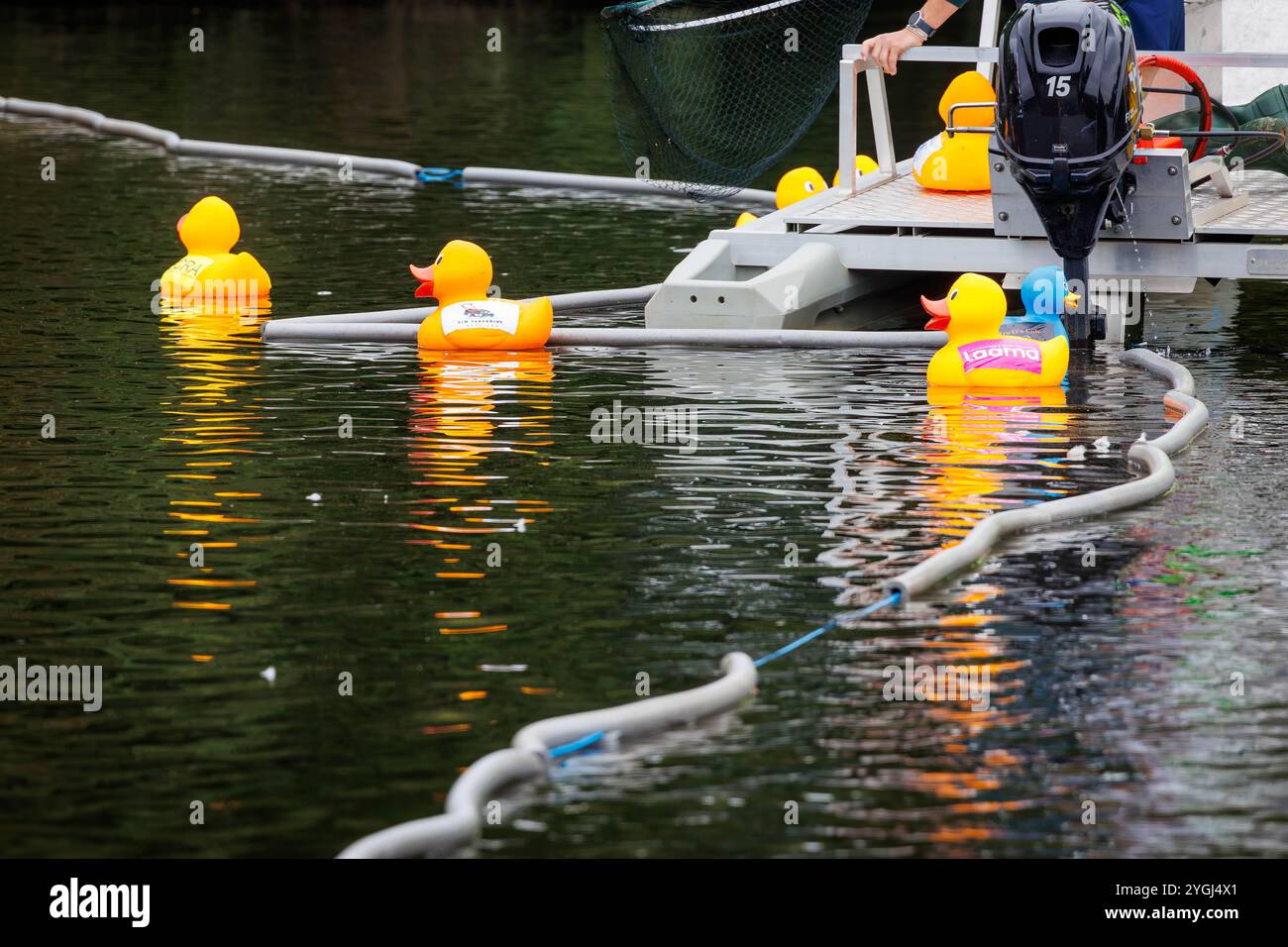 Das Great Warrington and Latchford Duck Race Stockfoto