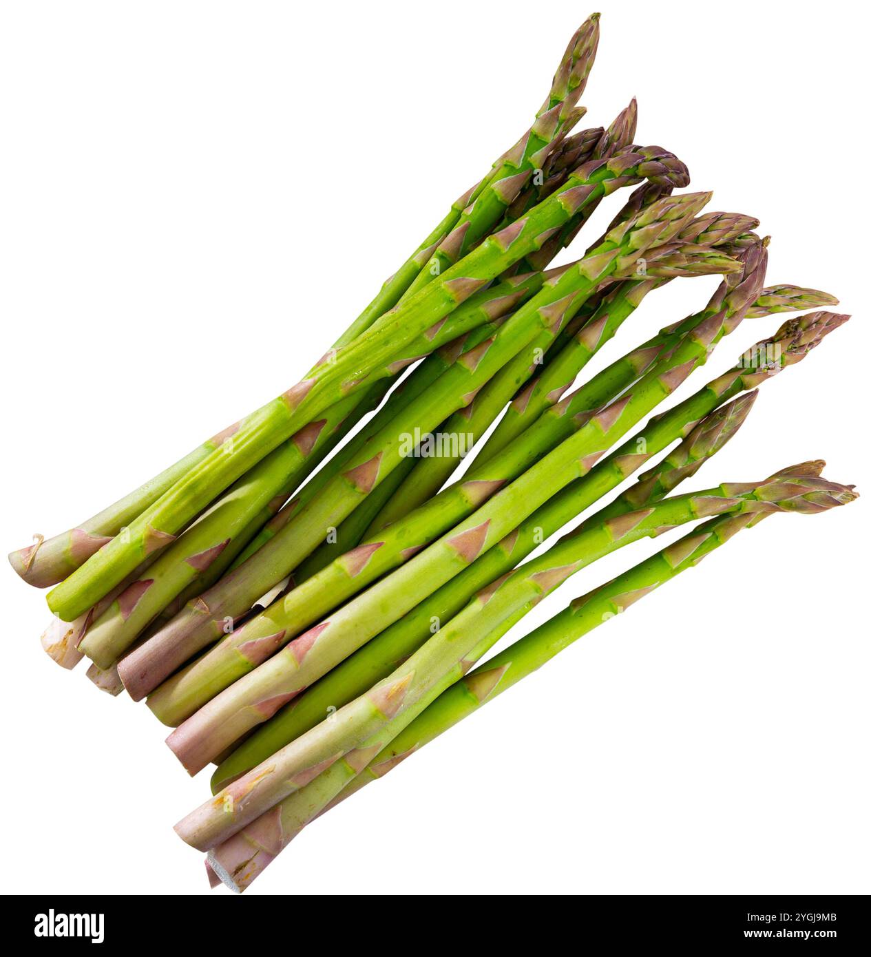 Frische Spargelstangen auf Teller bereit für die Zubereitung Stockfoto