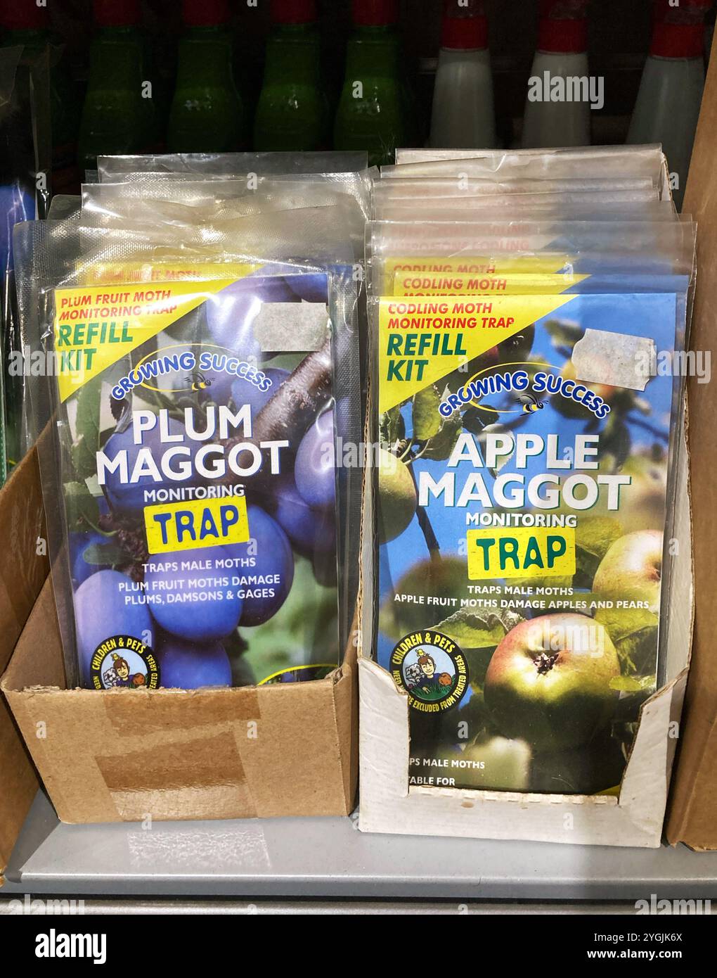 Pflaumenmade und Apfel-Made-Überwachungsfalle zum Verkauf im örtlichen Gartenzentrum - Smartphone-aufgenommenes Stockfoto