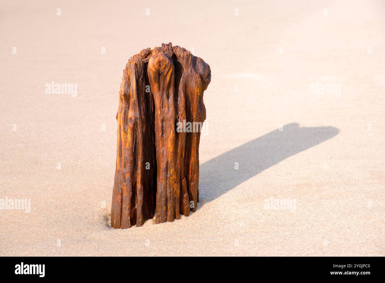 Single Groyne am Strand Stockfoto