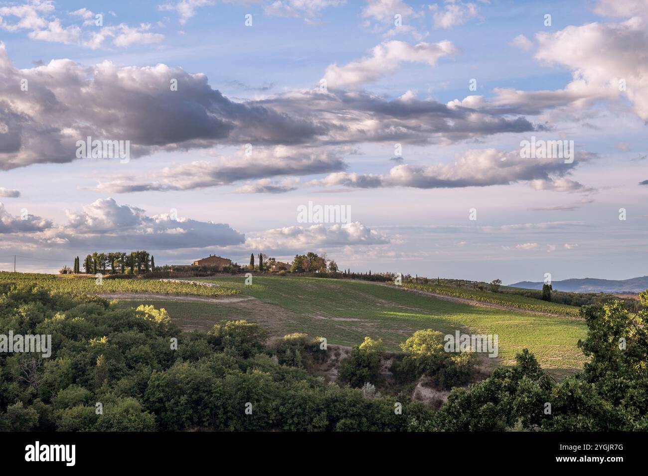 Herbsttoskanie zur goldenen Stunde Stockfoto