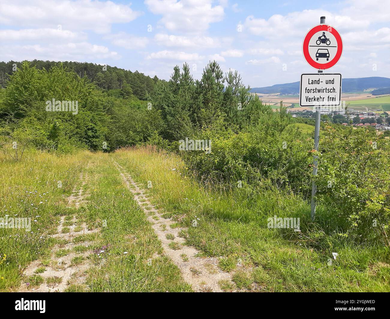 Ehemaliger Konvoyweg der DDR-Grenztruppen aus Betonblöcken, Deutschland, Rhoen Stockfoto