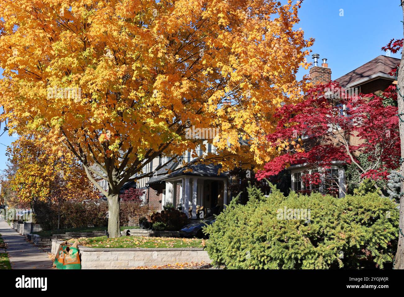 Wohnstraße mit brillanten Herbstfarben Stockfoto