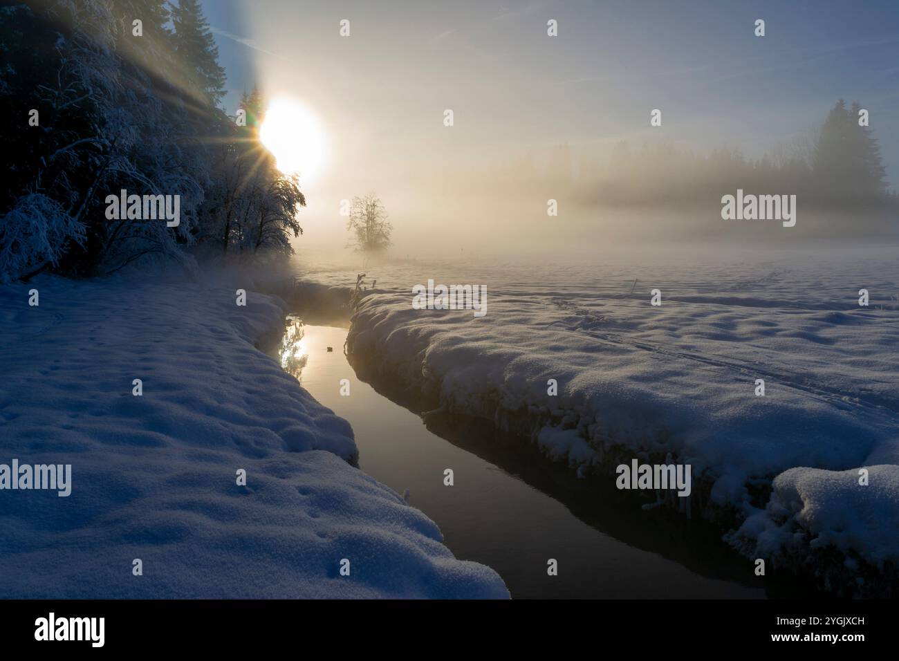 Nebel über schneebedecktem Moor bei Sonnenuntergang, Deutschland, Bayern, Murnauer Moos Stockfoto