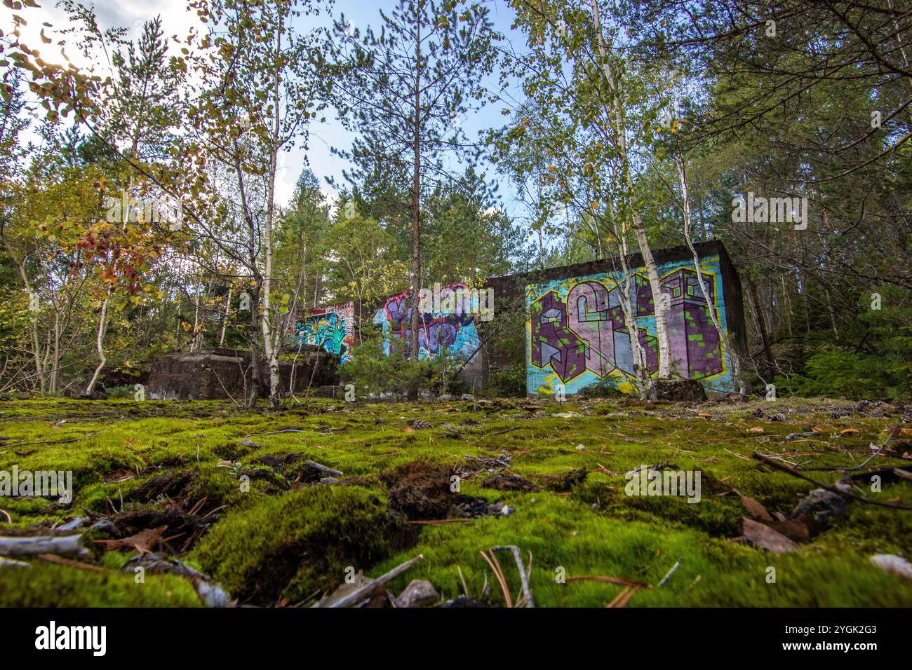 Wald in Schweden mit verlassenen Häusern einer Mine. Birken- und Kiefernwald in der Sonne im Sommer. Landschaftsaufnahmen in der Natur in der Nähe von Amal Schweden Stockfoto