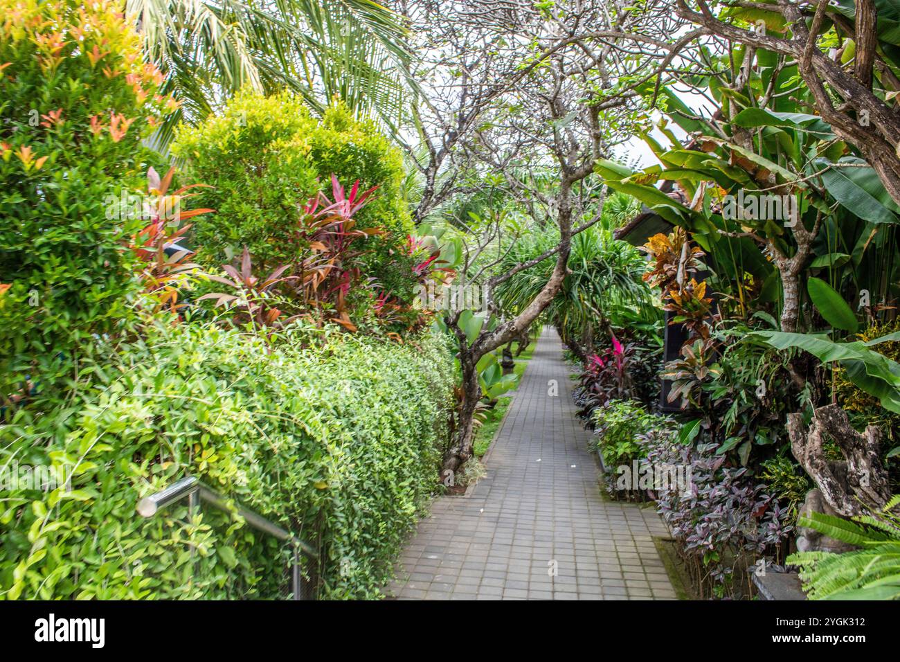 Garten- und Hotelanlage auf einer tropischen Insel. Wunderschöne Pflanzen in Sanur, Bali, Indonesien Stockfoto