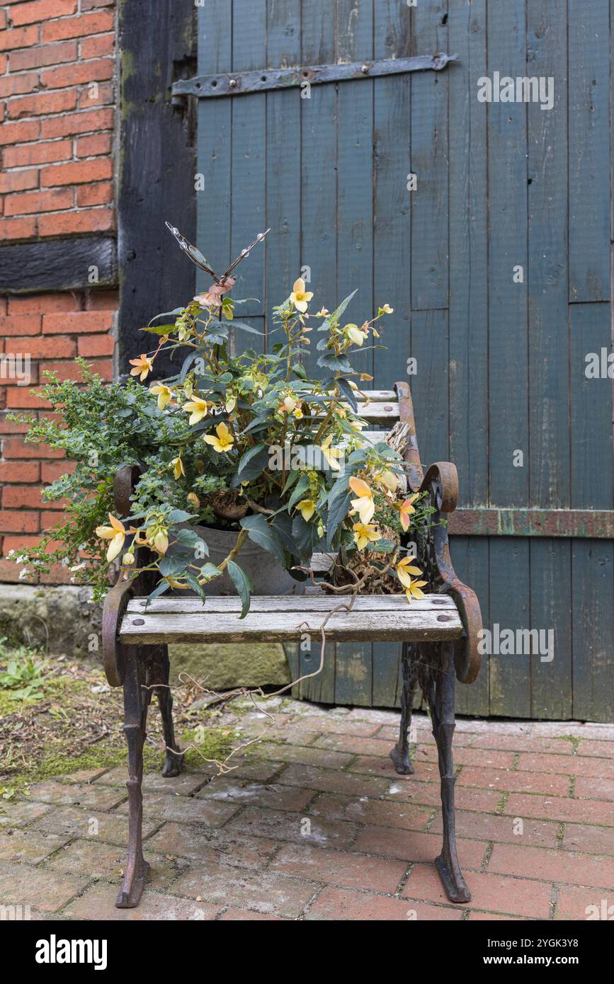 Bauernhof, Eingangsbereich, Stuhl, Blumen, Dekoration Stockfoto