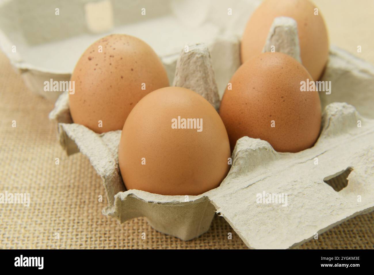 Eier im Verpackungsbehälter, Hühnerei, tierisches Protein kochen Zutat, Lebensmittel Illustration, Sammlung von Lebensmittelobjekten, gesunde Ernährung Stockfoto