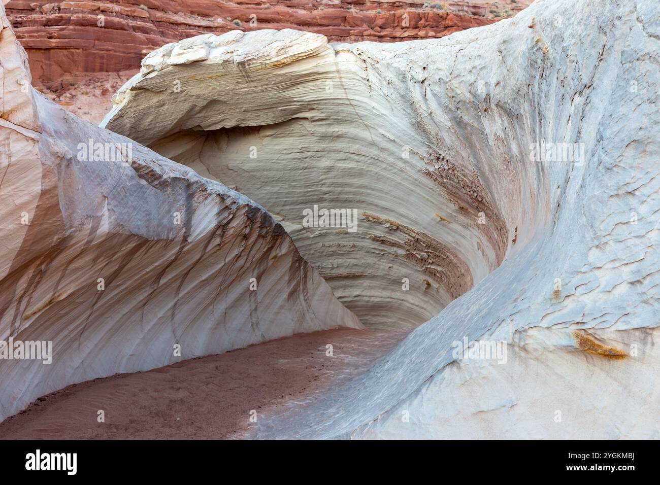Die Nautilus-Welle Erodierte Den Sandstone Rock Formation Canyon. Wandern Sie die malerische Grand Staircase Escalante National Mounument Landscape, Utah Südwesten der USA Stockfoto