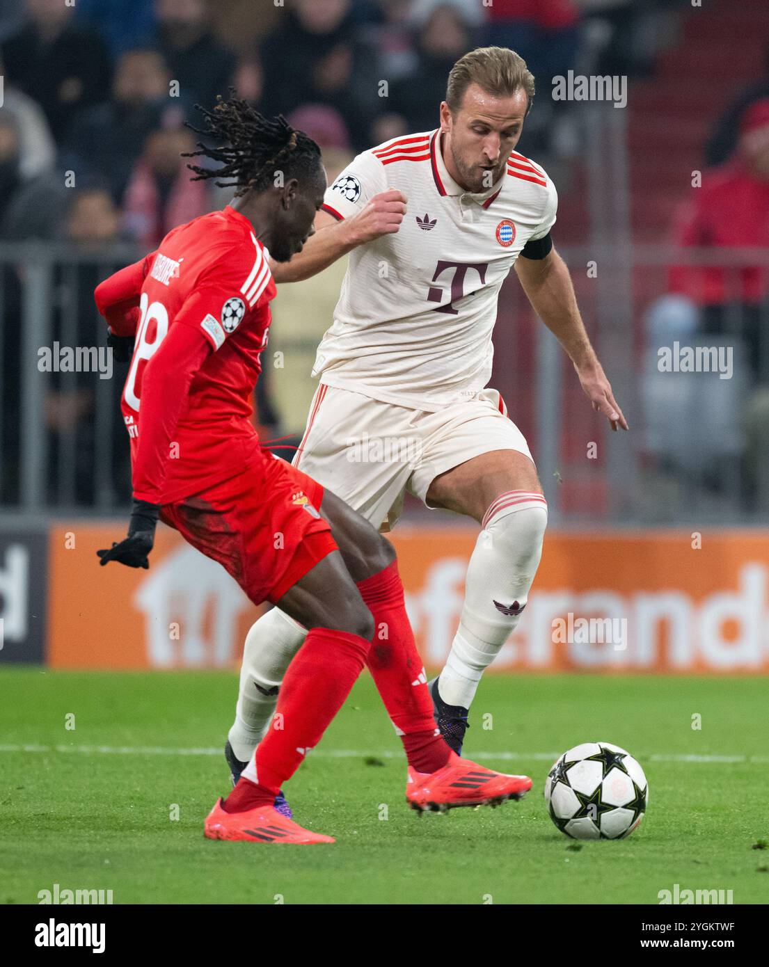 München, Deutschland. November 2024. Fußball: Champions League, Bayern München - Benfica Lissabon, Vorrunde, Spieltag 4 in der Allianz Arena. Harry Kane (r) aus München und Issa Kabore aus Lissabon kämpfen um den Ball. Quelle: Sven Hoppe/dpa/Alamy Live News Stockfoto