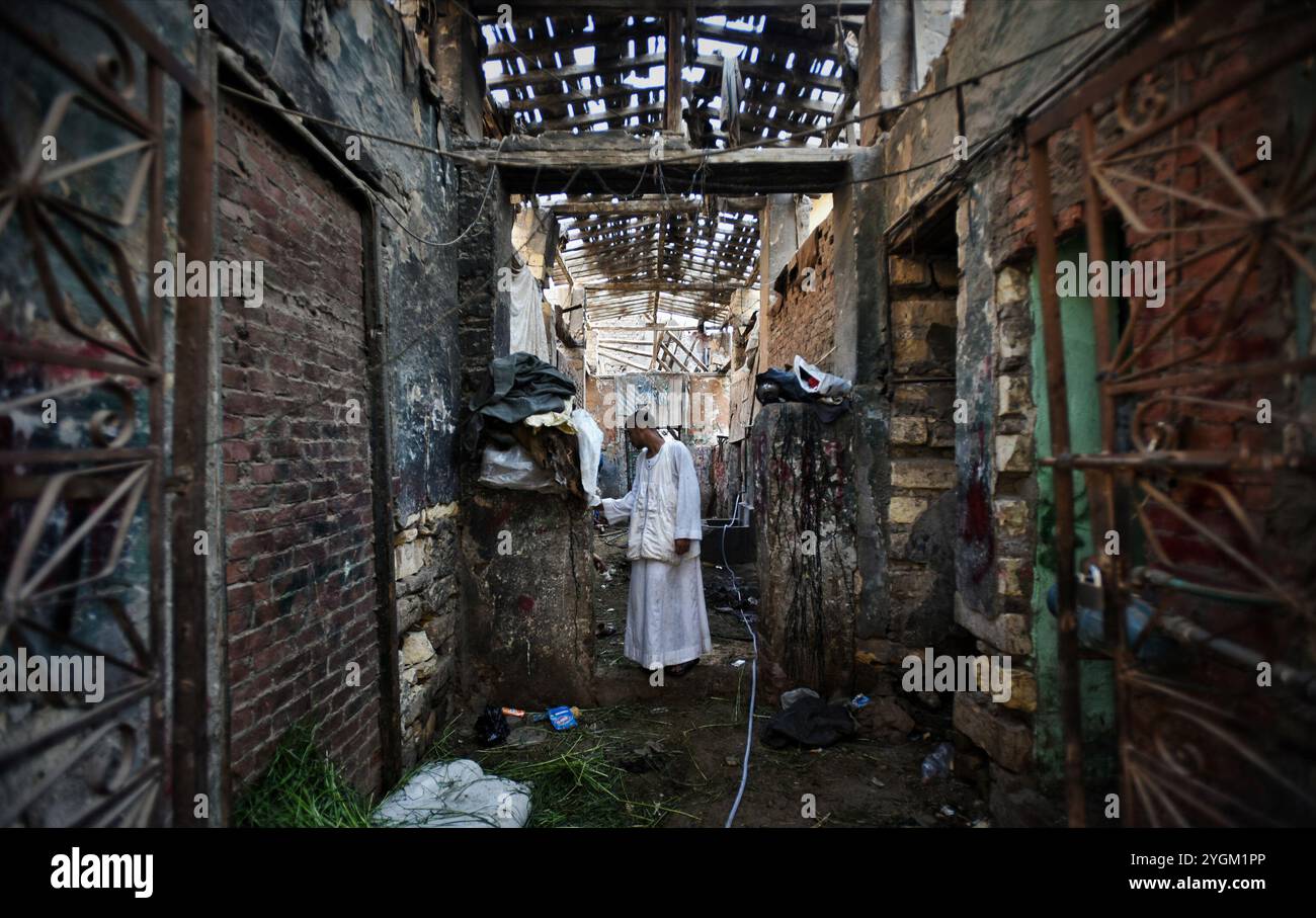 Kairo, Ägypten. August 2019. Die Einwohner Kairos kaufen Schafe und Ziegen auf dem Viehmarkt in Sayeda Zeinab in der ägyptischen Hauptstadt, um den Urlaub in Eid al-Adha vorzubereiten. Die Muslime in Kairo bereiten sich auf die dreitägige Feier von Eid al-Adha oder Opferfest vor, die einer der beiden wichtigsten islamischen Feiertage ist. Es erinnert an die Bereitschaft des Propheten Abrahams, seinen erstgeborenen Sohn Ismail als Akt der Unterwerfung unter Gott zu opfern, der schließlich ein Lamm zum Opfer brachte. Ein Viehtier wird geopfert, um das Ereignis zu feiern, wobei ein Teil des Tieres d ist Stockfoto