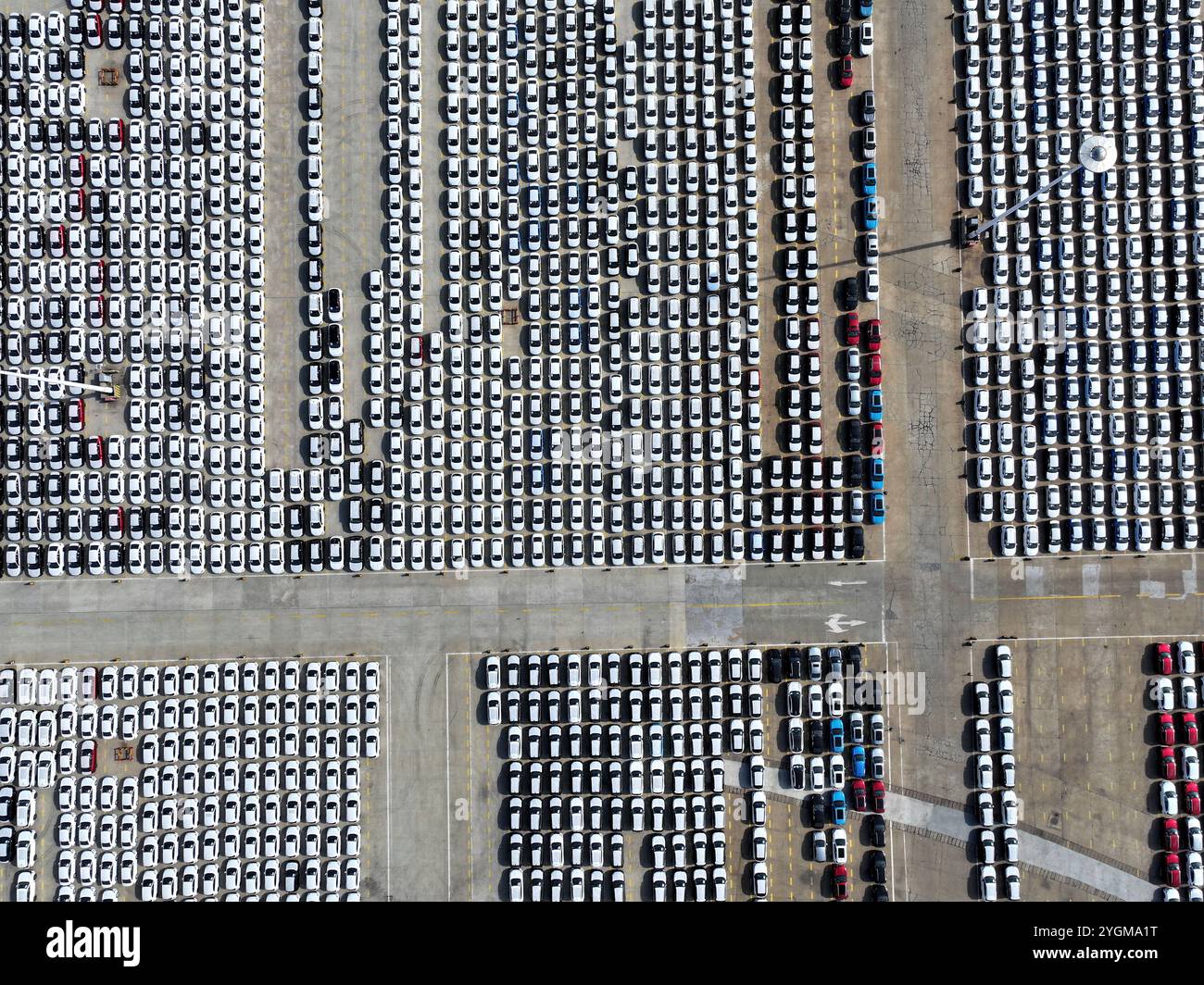 LIANYUNGANG, CHINA - 8. NOVEMBER 2024 - Eine große Anzahl von Fahrzeugen versammelt sich im Hafen, um sich auf den Versand und den Export nach Übersee vorzubereiten Stockfoto