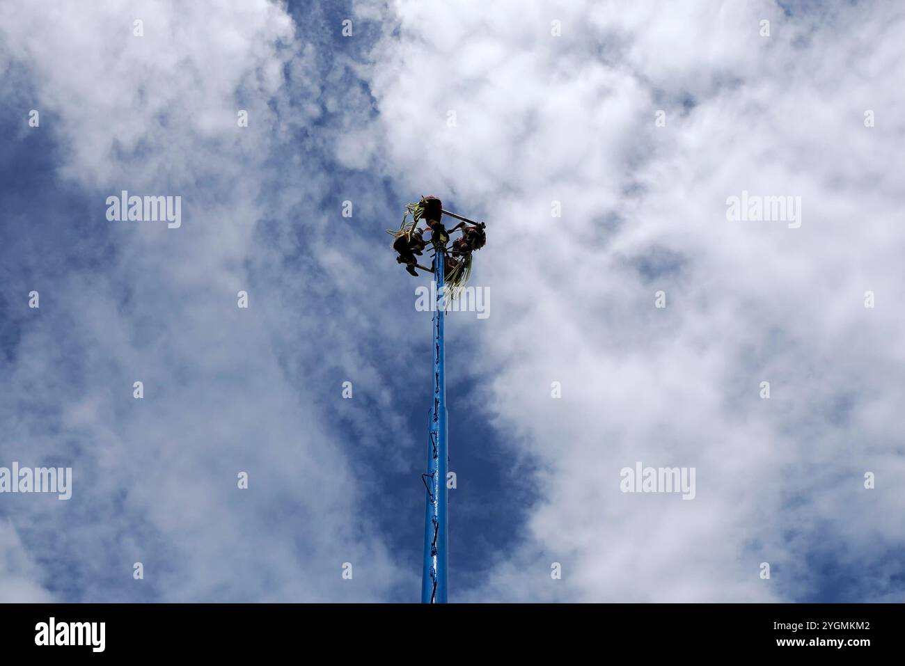 TULUM, MEXIKO - 29. OKTOBER 2024 - Akrobatische Darbietungen von Palo Volador, 'Tanz der Flyer', traditionelle Zeremonie, Los voladores ein antikes Toto Stockfoto