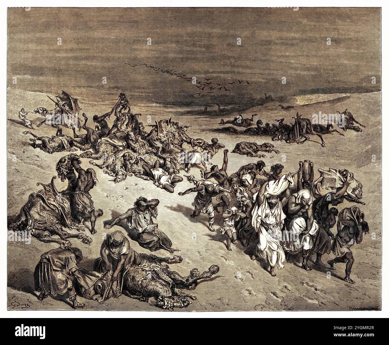 Die fünfte Plage Ägyptens, die Murrain unter den Tieren. Das Leiden, das über die brutale Schöpfung kommt, als Folge der Sünde des Menschen. Altes Testament. Antike digital gefärbte biblische Illustration von Gustave Doré (1832-1883) Stockfoto
