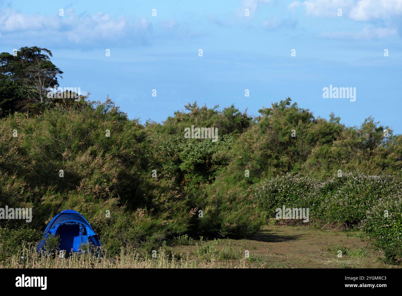 Wildcamping Bawdsey Ferry Suffolk UK Stockfoto