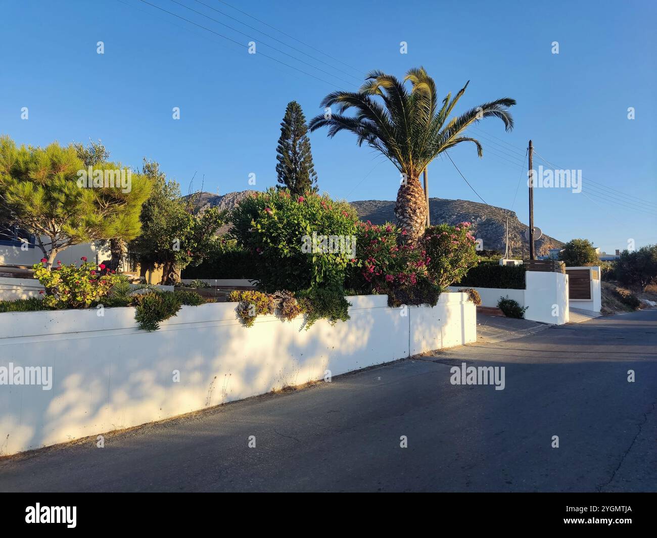 In Hersonissos, Kreta, Griechenland, schweben Palmen und schaffen eine tropische Atmosphäre vor dem Hintergrund eines klaren blauen Himmels Stockfoto