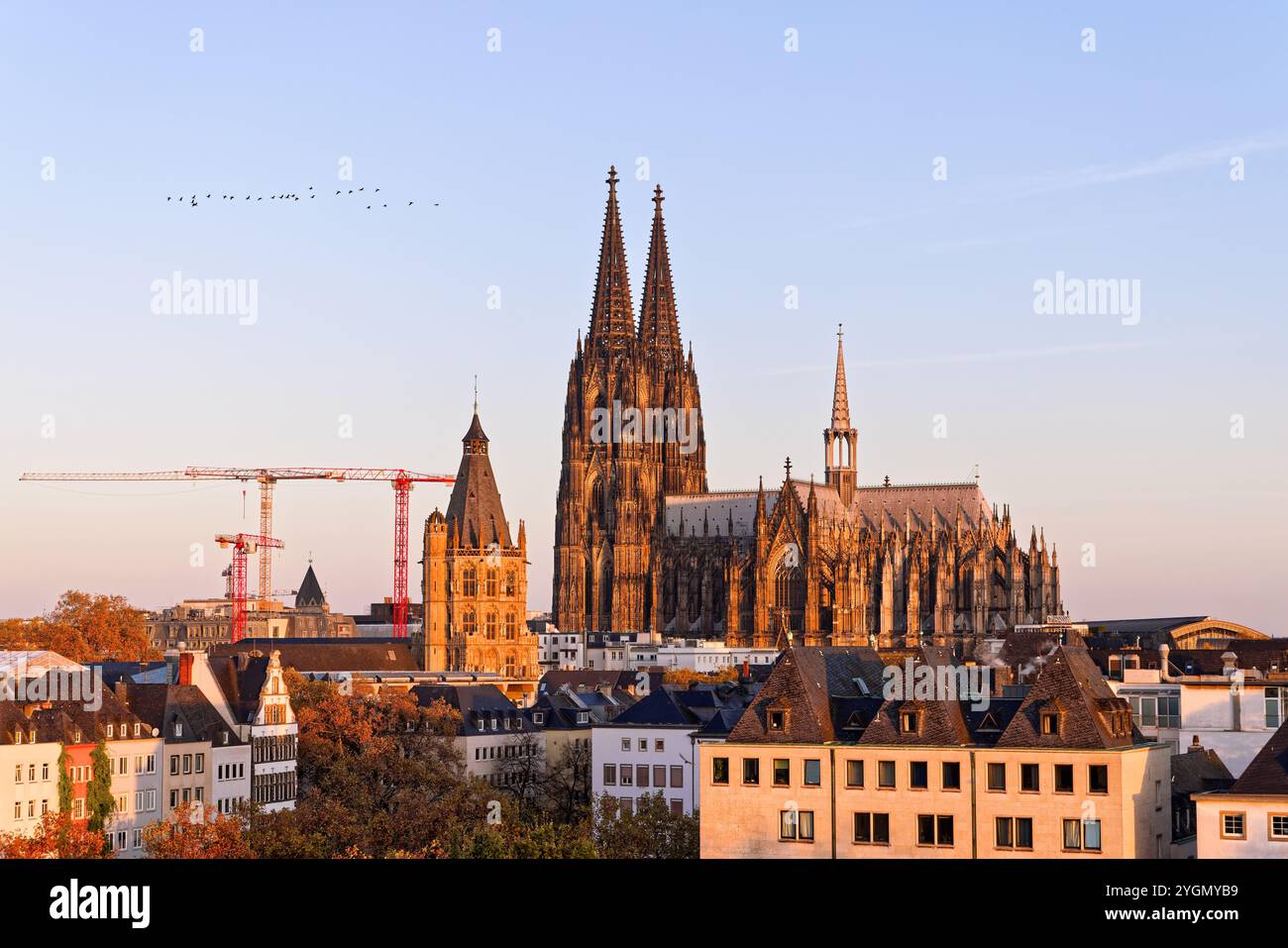 Kölner Stadtbild mit Kölner Dom zur goldenen Stunde Sonnenaufgang, Nordrhein-Westfalen, Deutschland. Stockfoto