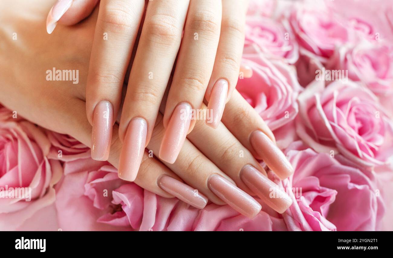 Zarte Hände zeigen wunderschön gepflegte lange Nägel, ergänzt durch üppige rosafarbene Rosen, die eine ruhige und elegante Atmosphäre schaffen. Stockfoto