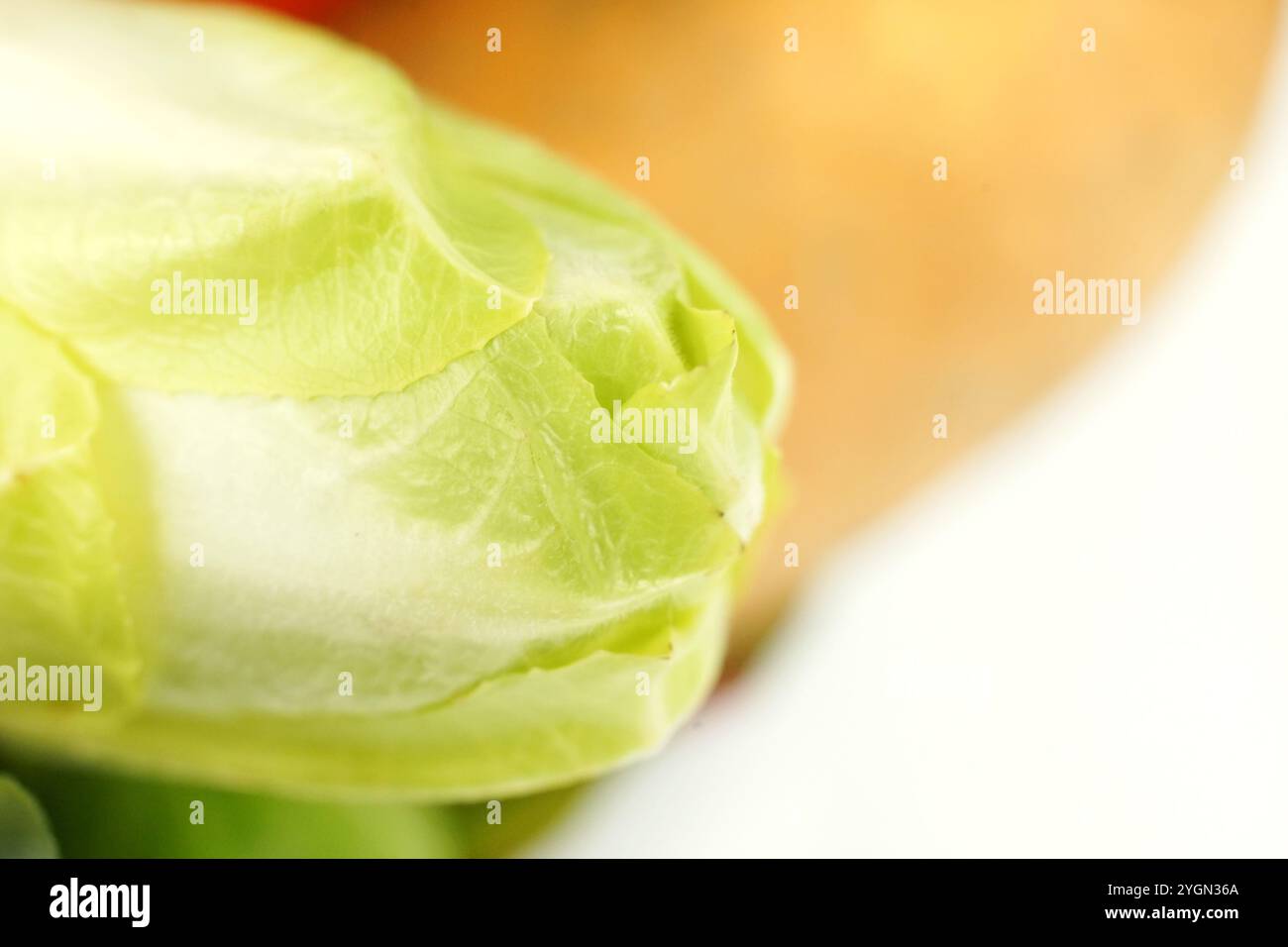 Super Nahaufnahme von napa Kohl mit feinen Adern und überlappenden Blättern. Dominante Farbe ist hellgrün. Hintergrund mit hellorangefarbenem Gemüse. Richtig Stockfoto