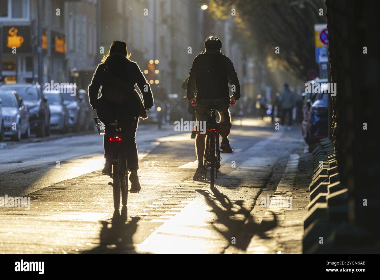 Radfahrer in schrägem Sonnenlicht im November, schlechte Sicht, Blendgefahr, Radweg, Radfahrer haben Vorrang vor dem Kraftverkehr, Köln, Nordrhein Stockfoto