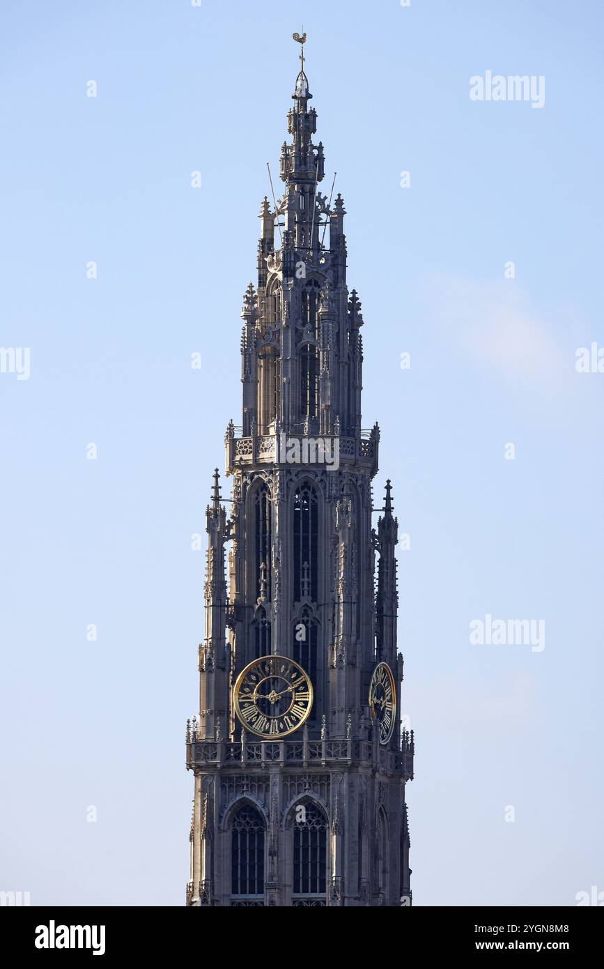 Turm der Kathedrale unserer Lieben Frau, Onze-Lieve-Vrouwekathedraal, gotisch, UNESCO-Weltkulturerbe, Antwerpen, Belgien, Europa Stockfoto