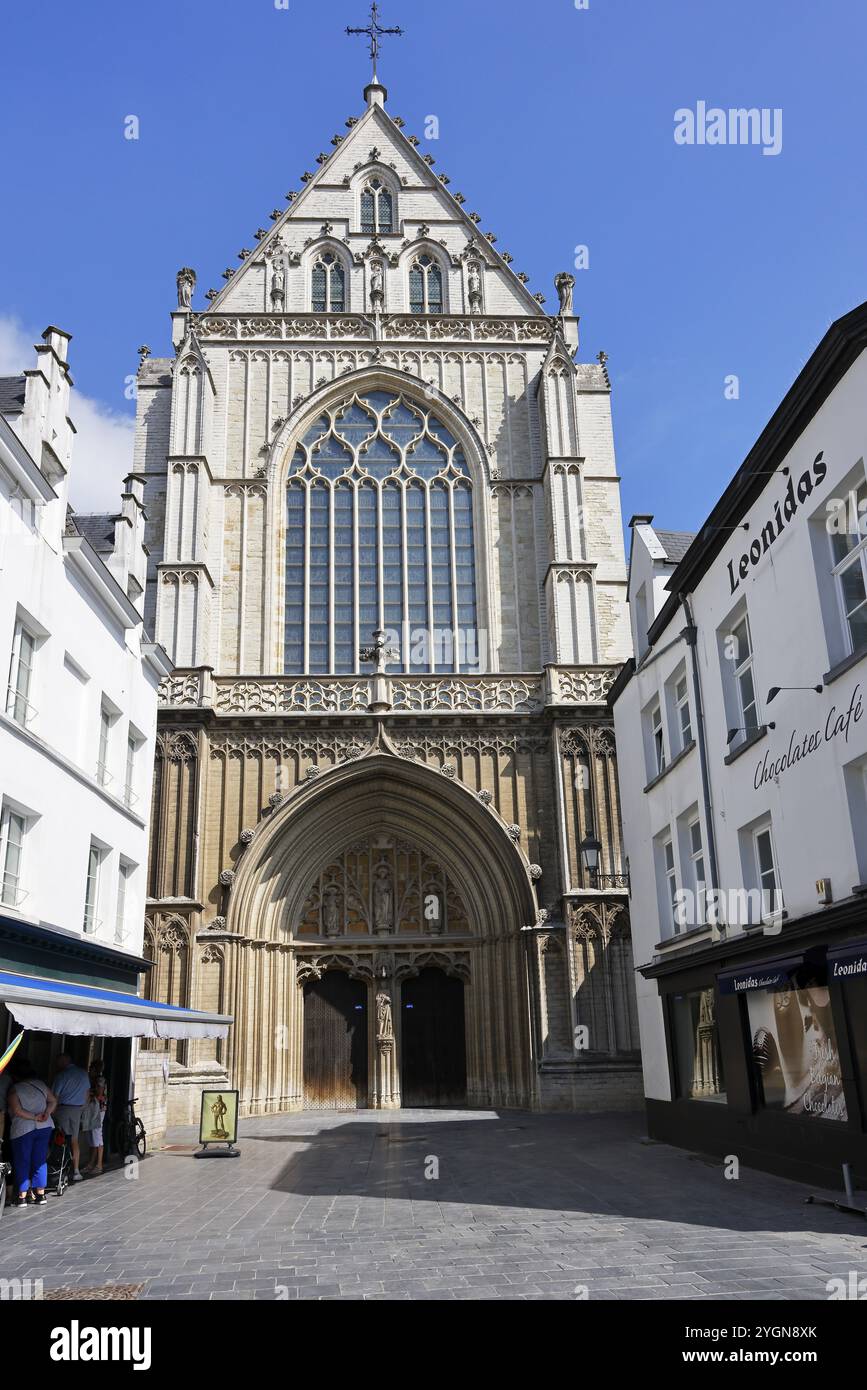 Kathedrale unserer Lieben Frau, Onze-Lieve-Vrouwekathedraal, Seiteneingang, gotisch, UNESCO-Weltkulturerbe, Antwerpen, Belgien, Europa Stockfoto