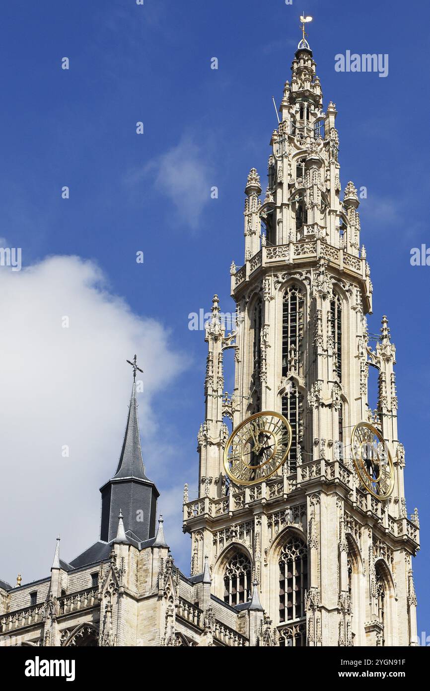 Turm der Kathedrale unserer Lieben Frau, Onze-Lieve-Vrouwekathedraal, gotisch, UNESCO-Weltkulturerbe, Antwerpen, Belgien, Europa Stockfoto