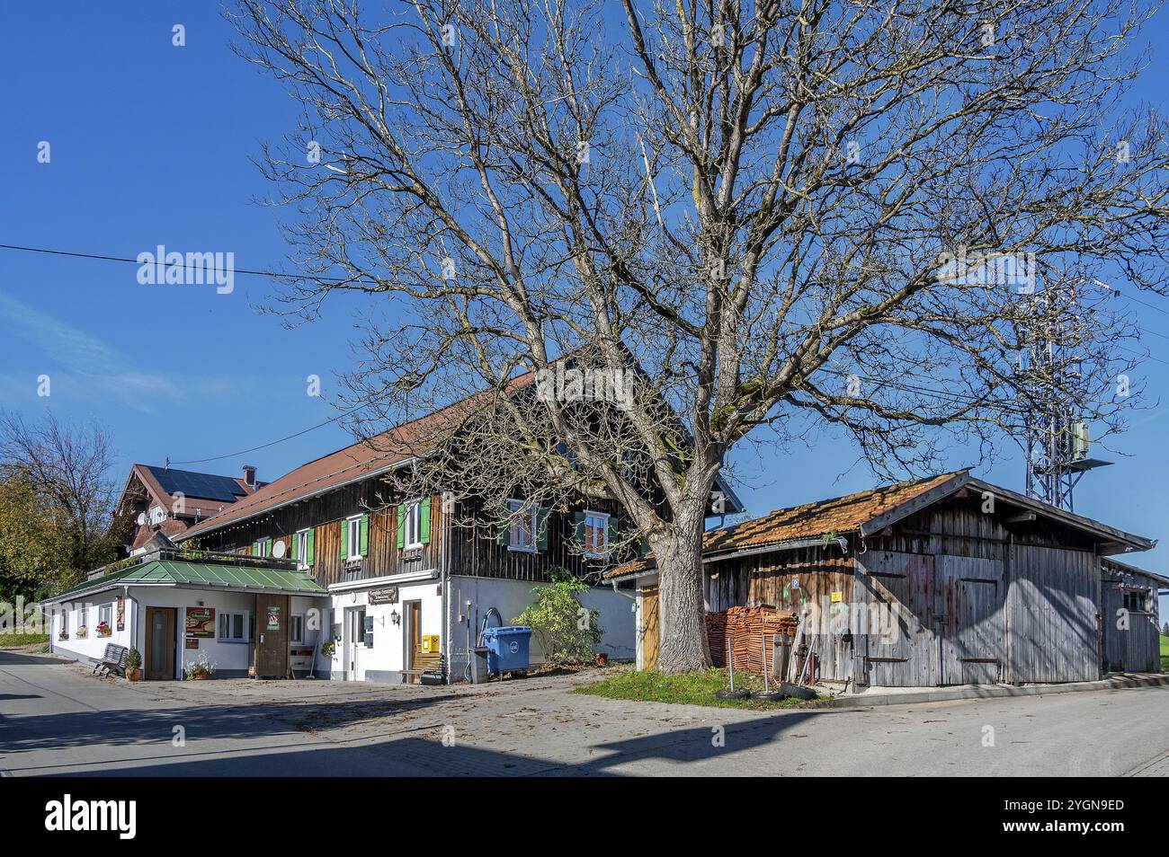 Bergkäserei am Schweineberg, blauer Himmel, bei Ofterschwang, Allgaeu, Bayern, Deutschland, Europa Stockfoto