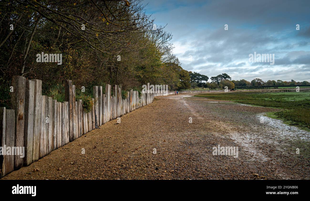 Der Küstenweg vom Hafen Langstone nach Bedhampton, Hampshire bei Ebbe an einem bewölkten Herbsttag. Stockfoto