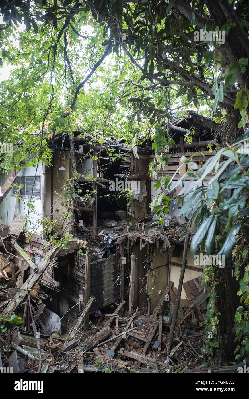 Eine Ruine (akiya) in Onomichi, umgeben von wilder Natur. Im Jahr 2024 werden 13,8 Prozent aller Häuser in Japan unbesetzt und neun Millionen gebaut Stockfoto