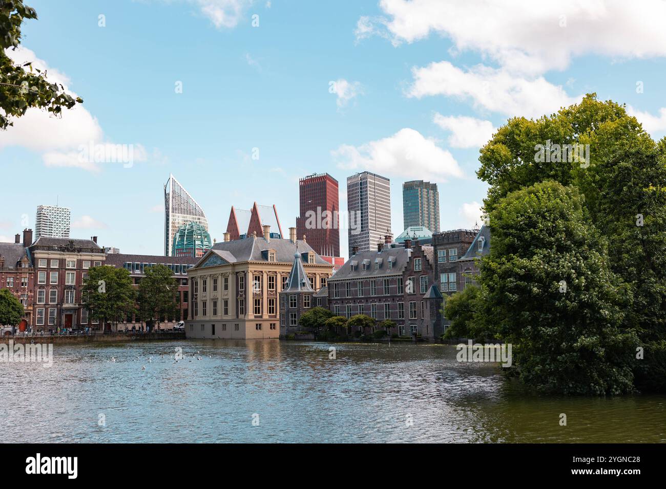 Stadtlandschaft mit Wolkenkratzern, dem niederländischen parlamentsgebäude und dem Mauritshuis in den Haag. Stadtlandschaft mit Wolkenkratzern, dem niederländischen parlamentsgebäude und dem Mauritshuis in den Haag. Teich mit Bäumen und Büschen im Vordergrund. niederlande den haag B97A7062 Stockfoto